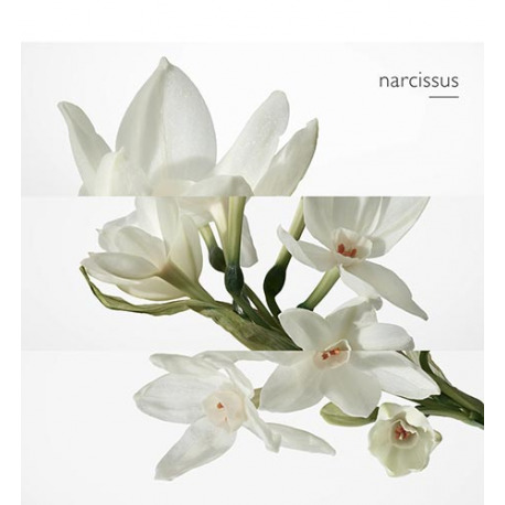 HERMÈS Eau de narcisse bleu - Eau de Cologne 3346132001346 HERMÈS Eau de narcisse bleu - Eau de Cologne 3346132001346